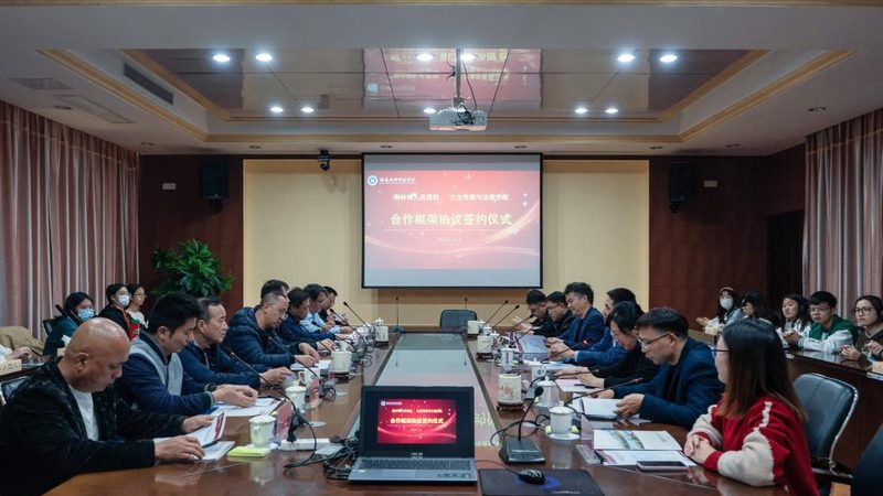 品牌设计公司选择：揭秘背后的逻辑与误区
